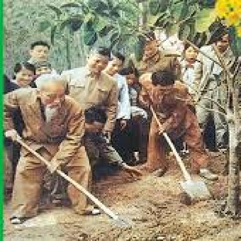 B&Agrave;I PH&Aacute;T BIỂU PH&Aacute;T ĐỘNG TẾT TRỒNG C&Acirc;Y XU&Acirc;N B&Iacute;NH NGỌ NĂM 2026 (miễn ph&iacute;)